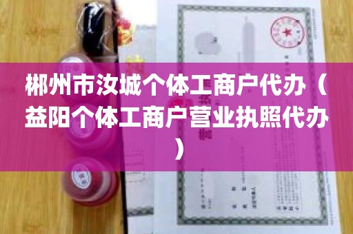 郴州市汝城个体工商户代办（益阳个体工商户营业执照代办）