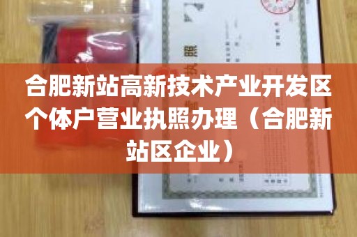 合肥新站高新技术产业开发区个体户营业执照办理（合肥新站区企业）
