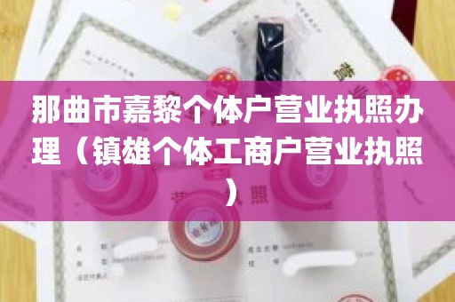 那曲市嘉黎个体户营业执照办理（镇雄个体工商户营业执照）