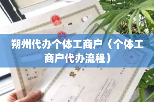 朔州代办个体工商户（个体工商户代办流程）
