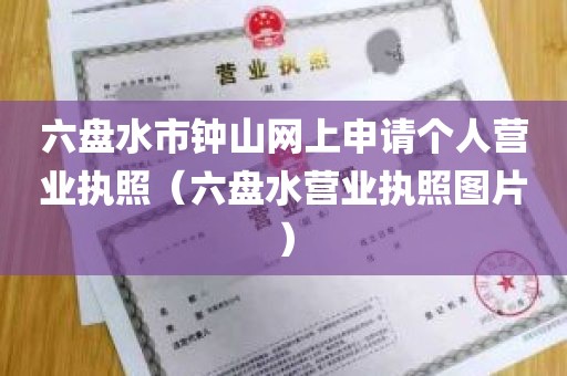六盘水市钟山网上申请个人营业执照（六盘水营业执照图片）