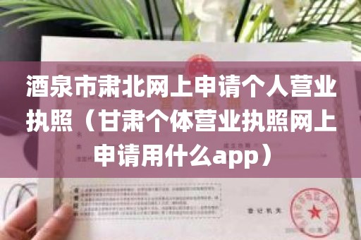 酒泉市肃北网上申请个人营业执照（甘肃个体营业执照网上申请用什么app）