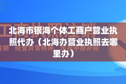 北海市银海个体工商户营业执照代办（北海办营业执照去哪里办）