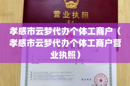 孝感市云梦代办个体工商户（孝感市云梦代办个体工商户营业执照）