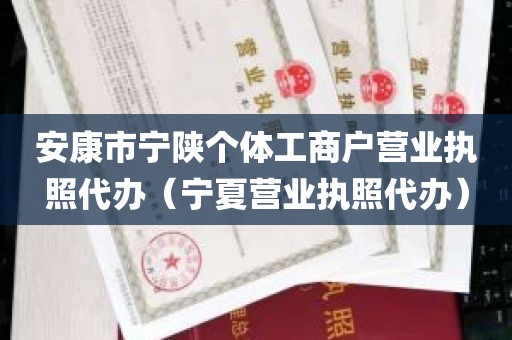 安康市宁陕个体工商户营业执照代办（宁夏营业执照代办）