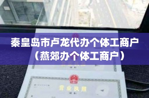 秦皇岛市卢龙代办个体工商户（燕郊办个体工商户）