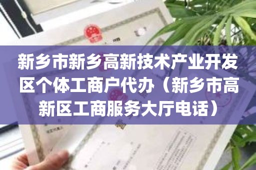 新乡市新乡高新技术产业开发区个体工商户代办（新乡市高新区工商服务大厅电话）