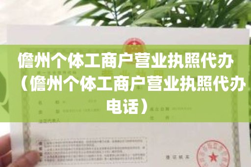 儋州个体工商户营业执照代办（儋州个体工商户营业执照代办电话）