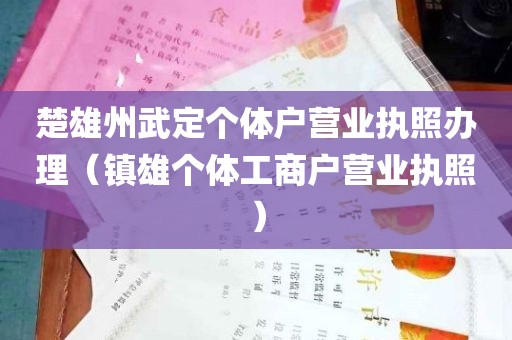 楚雄州武定个体户营业执照办理（镇雄个体工商户营业执照）