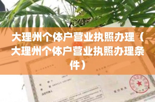 大理州个体户营业执照办理（大理州个体户营业执照办理条件）