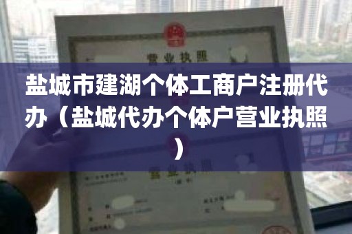 盐城市建湖个体工商户注册代办（盐城代办个体户营业执照）