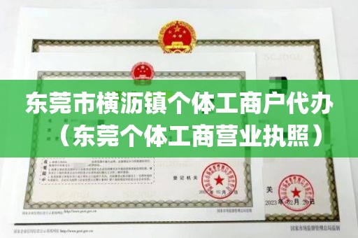 东莞市横沥镇个体工商户代办（东莞个体工商营业执照）