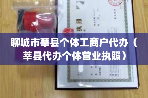 聊城市莘县个体工商户代办（莘县代办个体营业执照）
