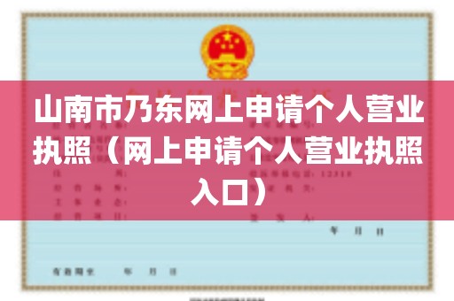 山南市乃东网上申请个人营业执照（网上申请个人营业执照入口）