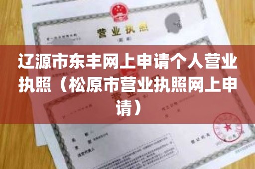 辽源市东丰网上申请个人营业执照（松原市营业执照网上申请）