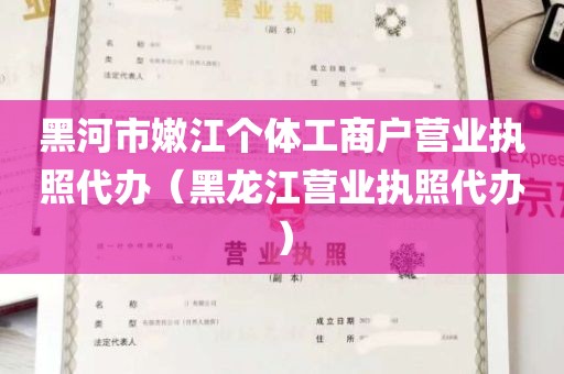 黑河市嫩江个体工商户营业执照代办（黑龙江营业执照代办）