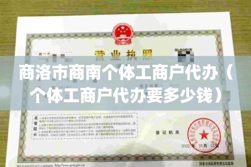 商洛市商南个体工商户代办（个体工商户代办要多少钱）