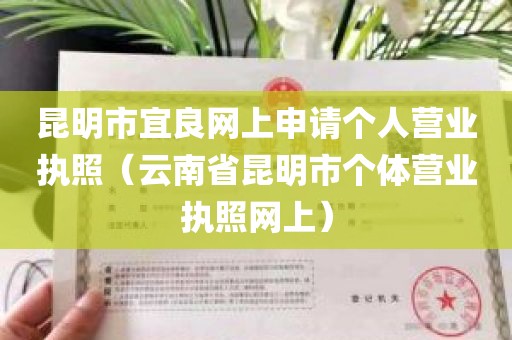 昆明市宜良网上申请个人营业执照（云南省昆明市个体营业执照网上）