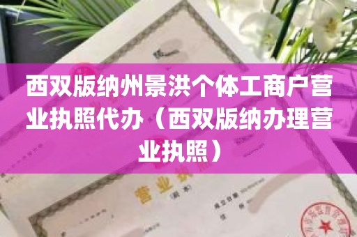 西双版纳州景洪个体工商户营业执照代办（西双版纳办理营业执照）