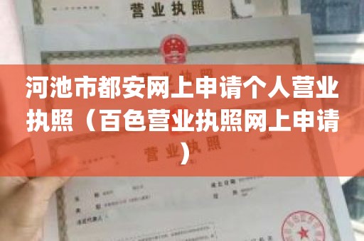 河池市都安网上申请个人营业执照（百色营业执照网上申请）