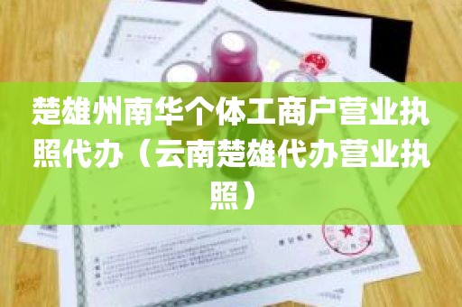 楚雄州南华个体工商户营业执照代办（云南楚雄代办营业执照）