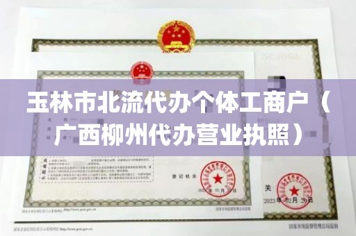 玉林市北流代办个体工商户（广西柳州代办营业执照）