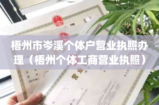 梧州市岑溪个体户营业执照办理（梧州个体工商营业执照）