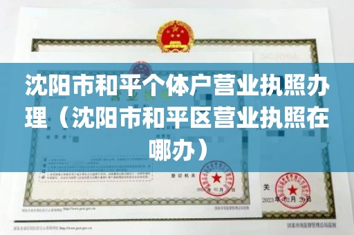 沈阳市和平个体户营业执照办理（沈阳市和平区营业执照在哪办）
