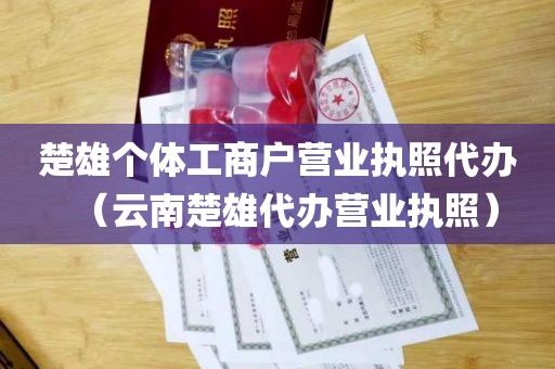 楚雄个体工商户营业执照代办（云南楚雄代办营业执照）