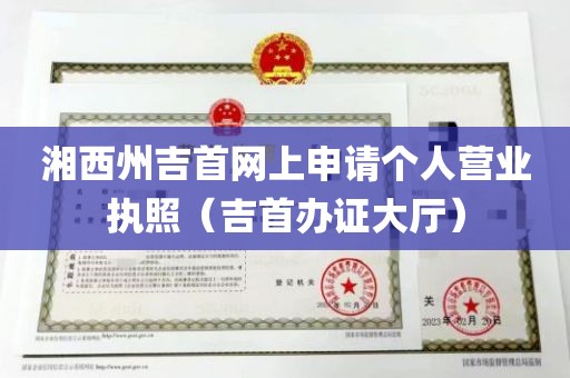 湘西州吉首网上申请个人营业执照（吉首办证大厅）