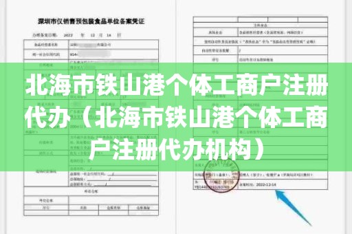 北海市铁山港个体工商户注册代办（北海市铁山港个体工商户注册代办机构）