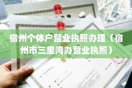 宿州个体户营业执照办理（宿州市三里湾办营业执照）