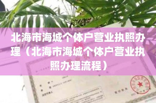 北海市海城个体户营业执照办理（北海市海城个体户营业执照办理流程）