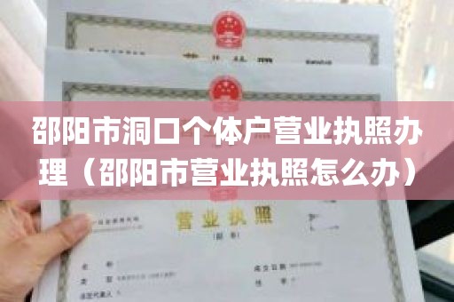 邵阳市洞口个体户营业执照办理（邵阳市营业执照怎么办）
