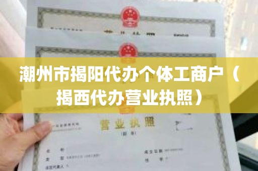 潮州市揭阳代办个体工商户（揭西代办营业执照）