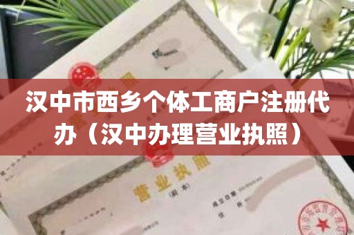 汉中市西乡个体工商户注册代办（汉中办理营业执照）