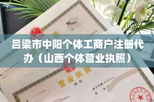 吕梁市中阳个体工商户注册代办（山西个体营业执照）