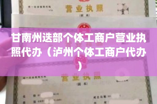甘南州迭部个体工商户营业执照代办（泸州个体工商户代办）