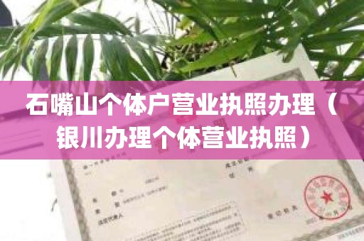 石嘴山个体户营业执照办理（银川办理个体营业执照）