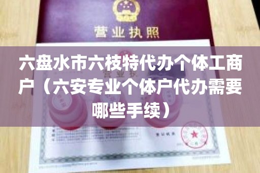 六盘水市六枝特代办个体工商户（六安专业个体户代办需要哪些手续）