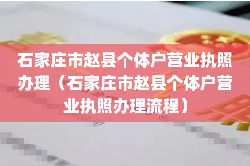 石家庄市赵县个体户营业执照办理（石家庄市赵县个体户营业执照办理流程）