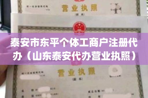 泰安市东平个体工商户注册代办（山东泰安代办营业执照）