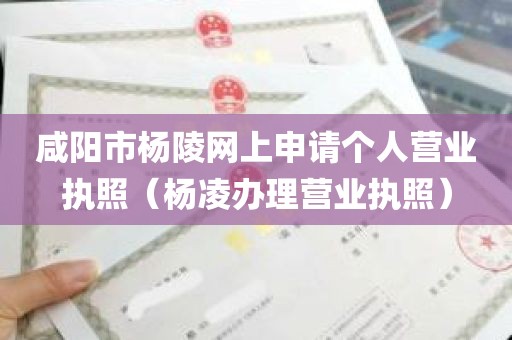 咸阳市杨陵网上申请个人营业执照（杨凌办理营业执照）