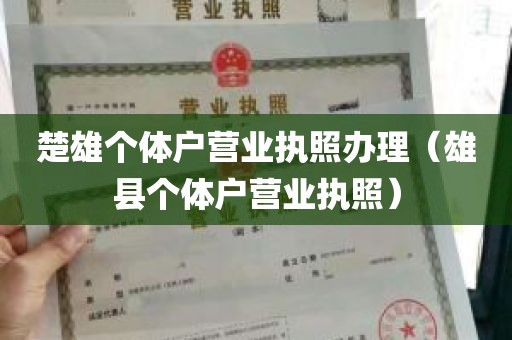 楚雄个体户营业执照办理（雄县个体户营业执照）