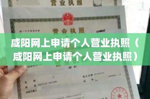 咸阳网上申请个人营业执照（咸阳网上申请个人营业执照）