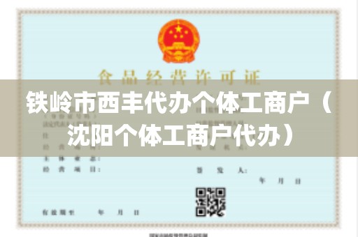 铁岭市西丰代办个体工商户（沈阳个体工商户代办）