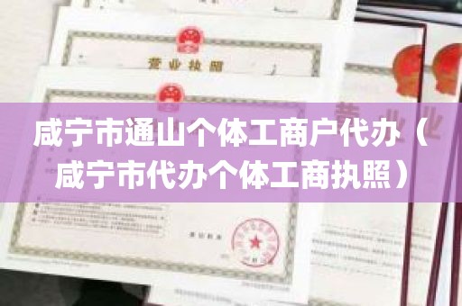 咸宁市通山个体工商户代办（咸宁市代办个体工商执照）