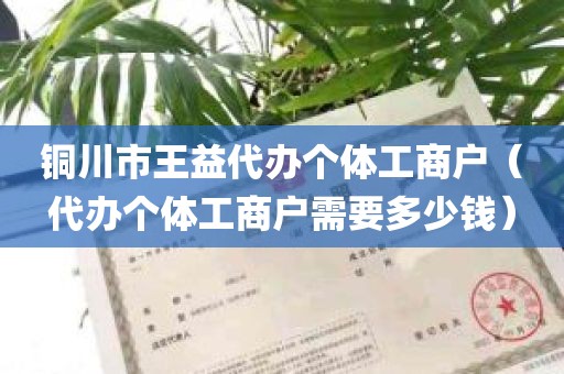 铜川市王益代办个体工商户（代办个体工商户需要多少钱）