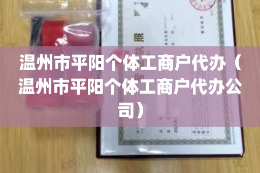 温州市平阳个体工商户代办（温州市平阳个体工商户代办公司）