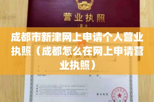 成都市新津网上申请个人营业执照（成都怎么在网上申请营业执照）
